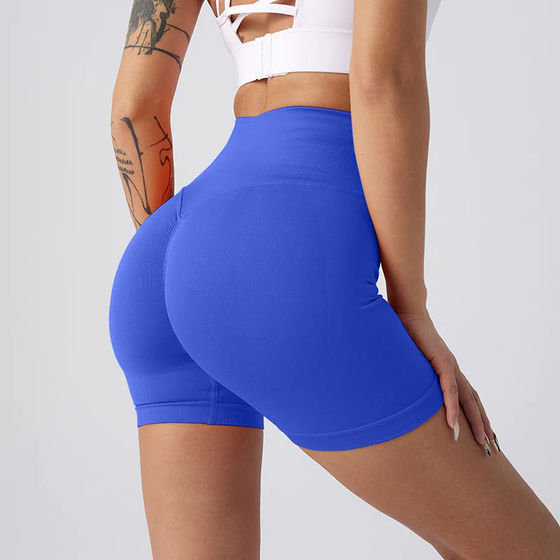 NylonFit Shorts