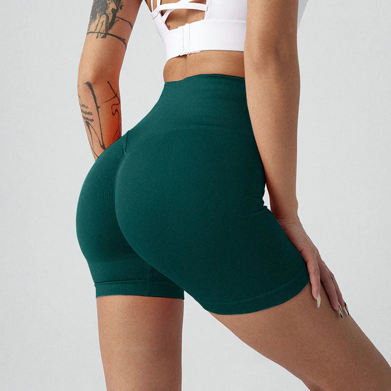NylonFit Shorts