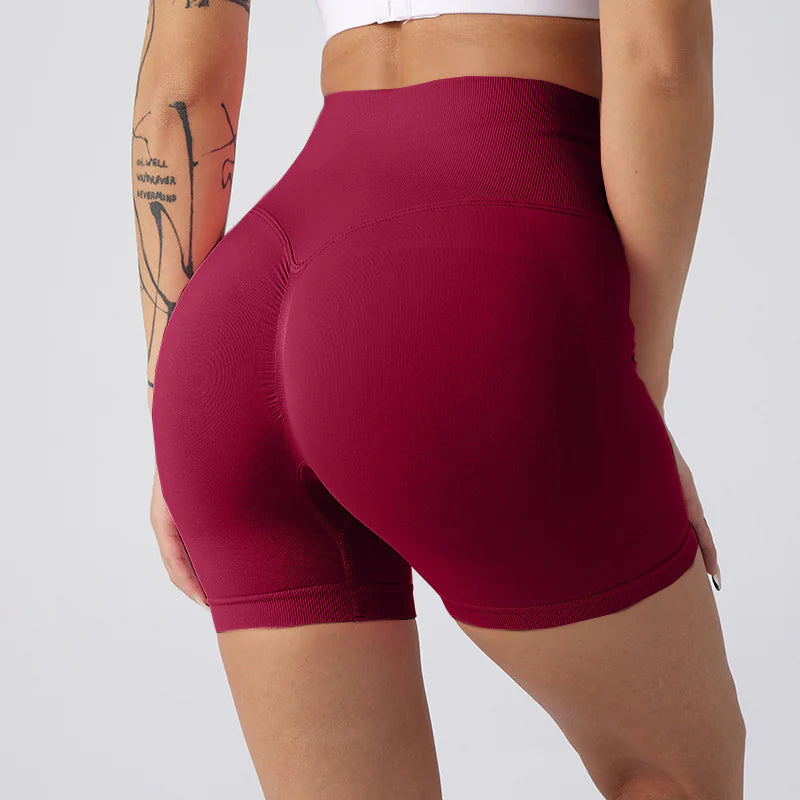 NylonFit Shorts