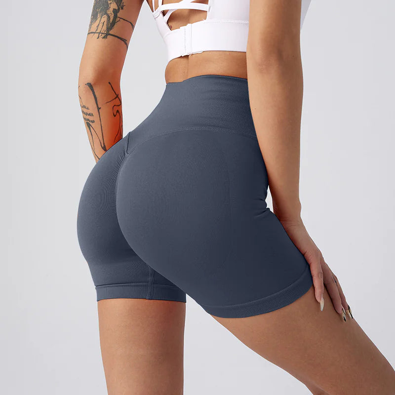 NylonFit Shorts