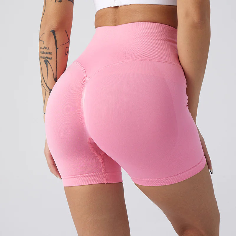 NylonFit Shorts