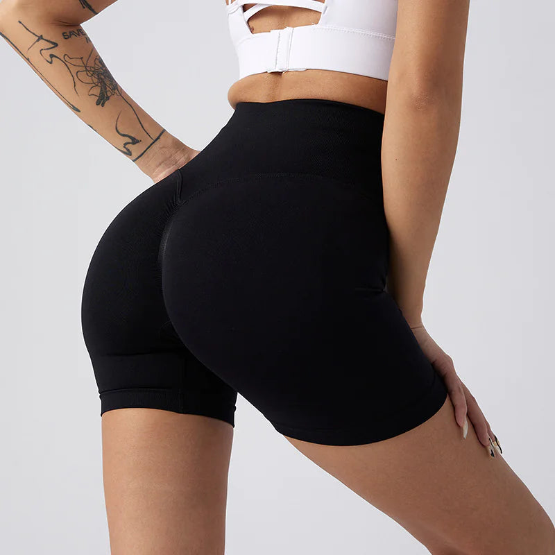 NylonFit Shorts