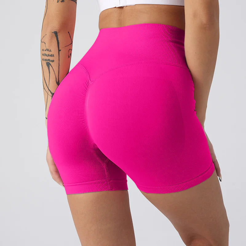 NylonFit Shorts