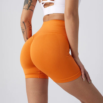 NylonFit Shorts