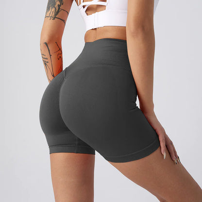 NylonFit Shorts